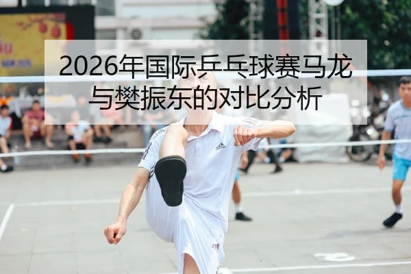 2026年国际乒乓球赛马龙与樊振东的对比分析