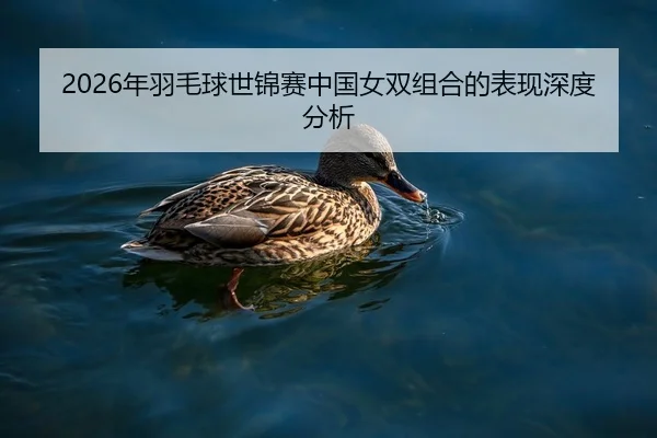 2026年羽毛球世锦赛中国女双组合的表现深度分析