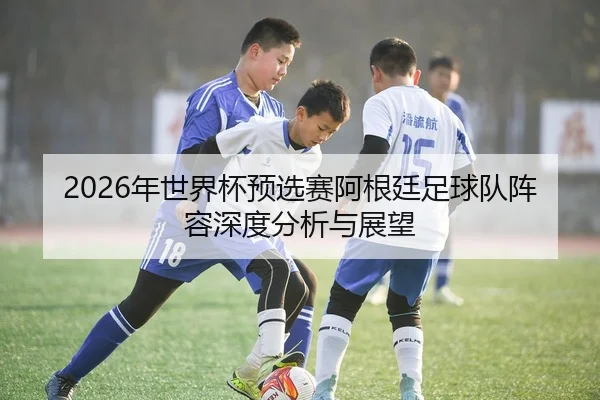 2026年世界杯预选赛阿根廷足球队阵容深度分析与展望