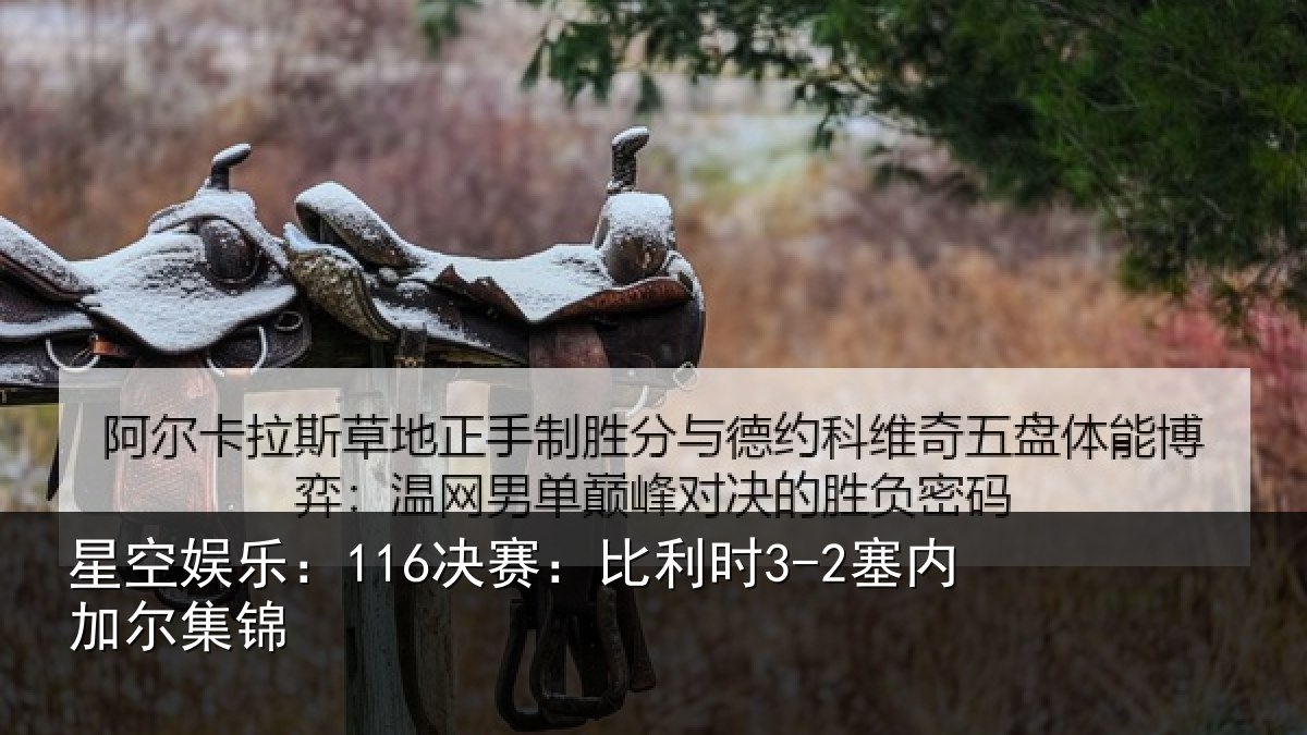 星空娱乐:116决赛:比利时3-2塞内加尔集锦