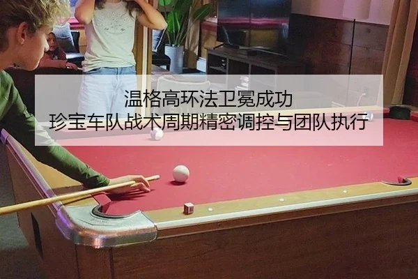 wen-ge-gao-huan-fa-wei-mian-cheng-gong-zhen-bao-che-dui-zhan-shu-zhou-qi-jing-mi-tiao-kong-yu-tuan-dui-zhi-xing-2-771.jpg