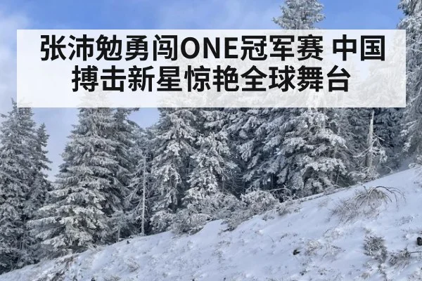 张沛勉勇闯ONE冠军赛 中国搏击新星惊艳全球舞台